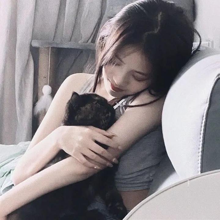 虎豹龙蛇鹰粤语 在线观看